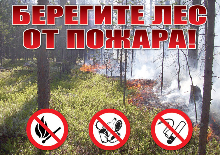 О правилах пожарной безопасности  в лесу