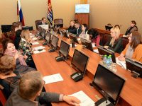 В Ивановской областной думе обсудили меры поддержки людей с ограниченными возможностями здоровья