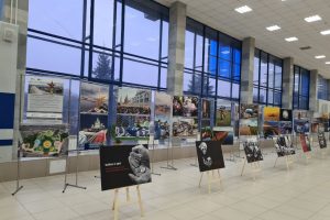Пассажиры ивановского аэропорта смогут увидеть Куршскую косу и вулканы Камчатки