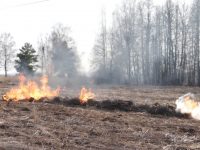 В лесах Ивановской области начался пожароопасный сезон