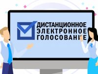 Прием заявок на участие в тестовом онлайн-голосовании стартовал 21 апреля