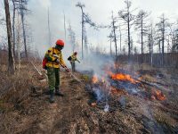 О ликвидации последствий подтоплений и природных пожаров в ряде регионов России