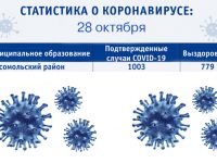 Статистика о коронавирусе на 28 октября