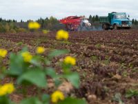 Аграрии Ивановской области увеличивают посевы