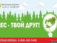 В Ивановской области объявлен пожароопасный сезон