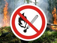 В Ивановской области действует особый противопожарный режим