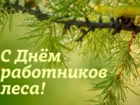 Уважаемые работники и ветераны  лесного хозяйства Ивановской области!