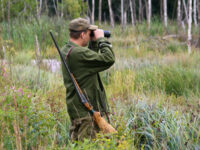 Hunter with rifle and binoculars in a forest`s swamp.