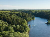 На территории лесов Ивановской области вводится особый противопожарный режим