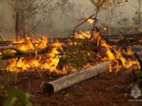 Четвертый класс пожарной опасности объявлен в Ивановской области
